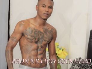 ARON_NICEBOY_COCK_HARD