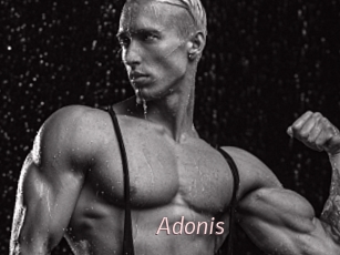 Adonis_