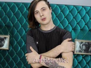 Amiableelliot
