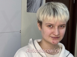 Antoniacowick