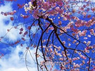 Cameron