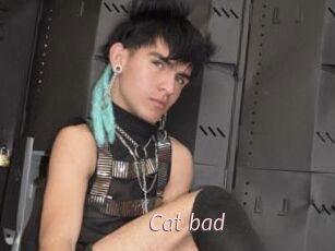 Cat_bad