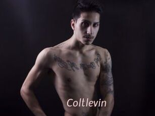 Coltlevin
