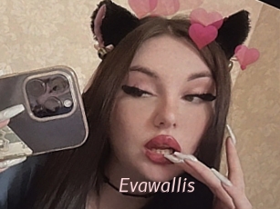 Evawallis
