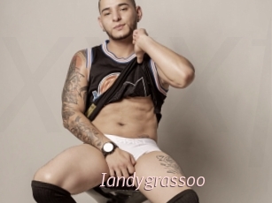 Iandygrassoo