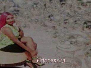 Princess23