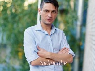 Sid_incube