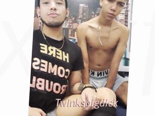 Twinksbigdick
