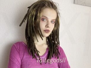 Taitegodsil