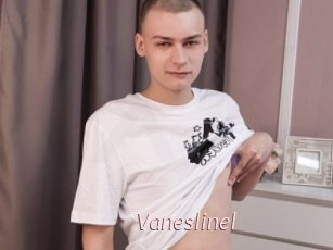 Vaneslinel