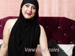 Vanezagonzales