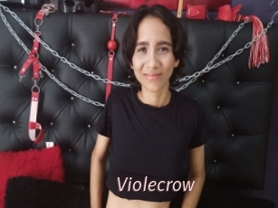 Violecrow