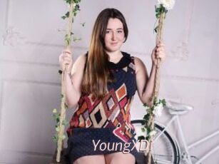 YoungXDi