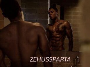 ZEHUS_SPARTA