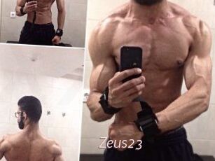 Zeus23