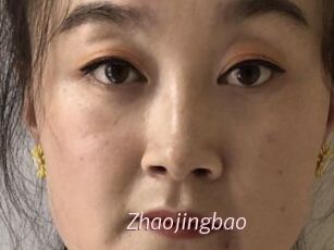 Zhaojingbao